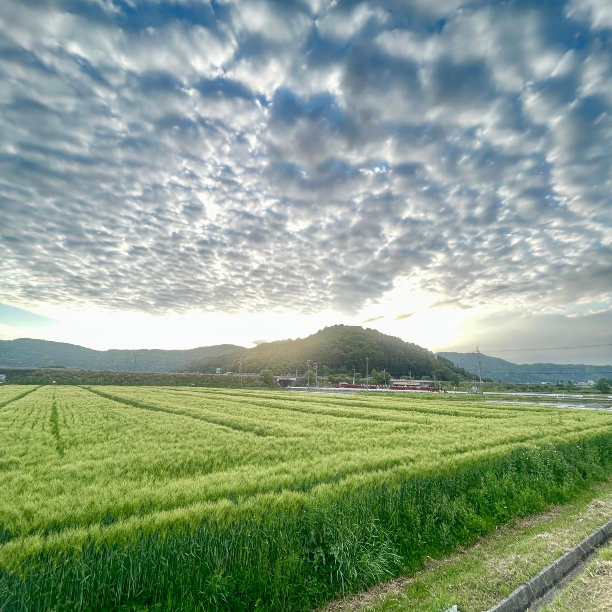 湖北 寺の宿-去-来-現ko-Rai-Gen นากาฮามะ ภายนอก รูปภาพ